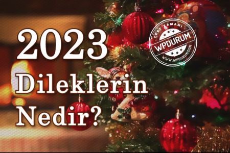 2023 Yeni Yıl Dileklerini Tahmin Ediyoruz!