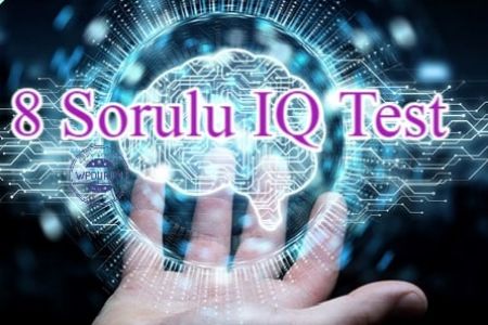 Bu 8 Sorulu IQ Testi Zeka Türünü %100 Ortaya Çıkaracak!