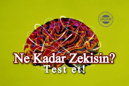 Bu IQ Testini Yalnızca Çok Yüksek Zihinsel Hesaplama Yeteneğine Sahip Olanlar Geçebilir!