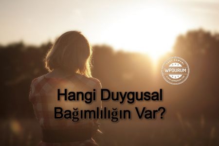 Bu Psikolojik Teste Göre Hangi Duygusal Bağımlılığın Var?