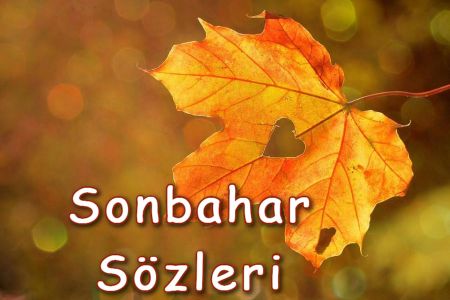 En Güzel, Anlamlı ve Resimli Sonbahar Sözleri