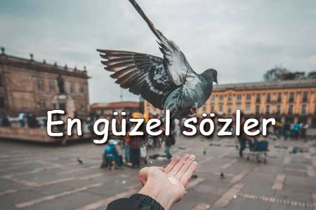 2025'te Hayatınıza Dokunacak Derin Sözler