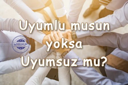 Karakter testi: Ortama Çabuk Uyum Sağlayabiliyor musun? Yoksa Uyumsuz musun?