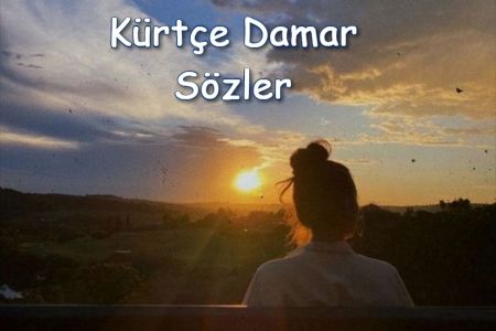 Kürtçe Ağır, Damar Sözler