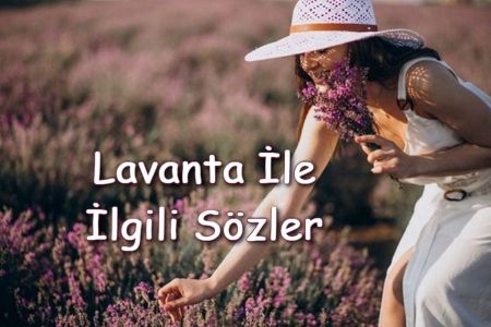 Lavanta İle İlgili Sözler