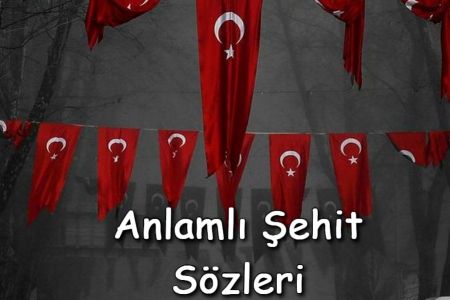 Şehitler İçin Anlamlı Sözler