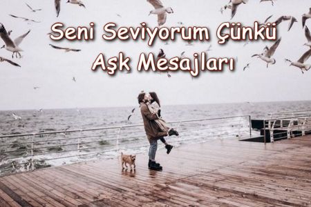 40+ En Güzel Seni Seviyorum Çünkü Mesajları