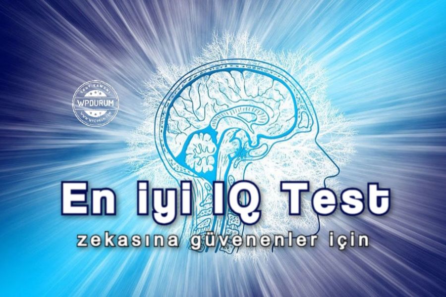 Sadece Zekasına Güvenen İnsanlar Tarafından Çözülen En İyi IQ Testi!