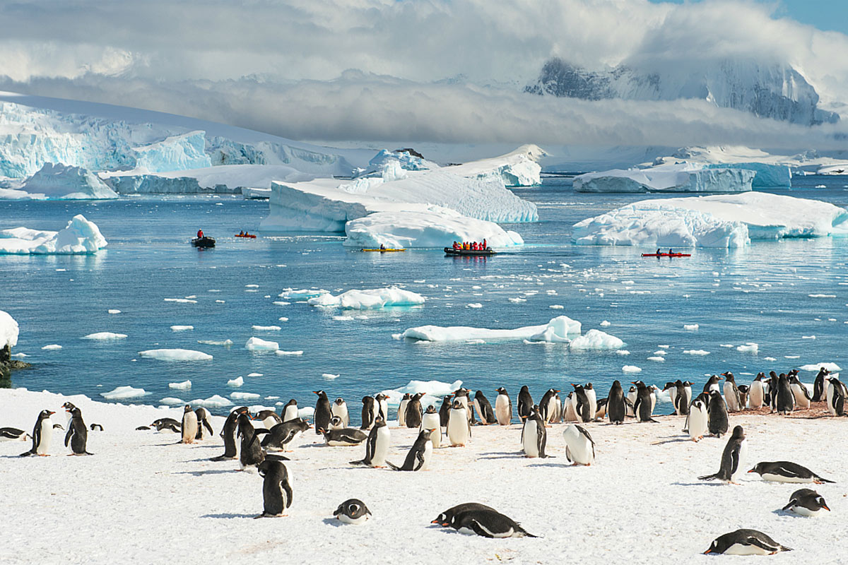 Antarktika'da kalıcı olarak yaşayan kimse yok!