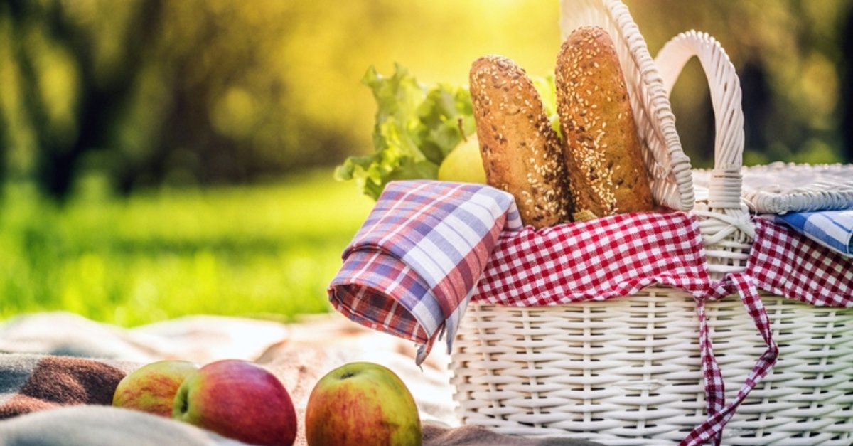 Son olarak pikniğe gitmeyi ne kadar seversin?