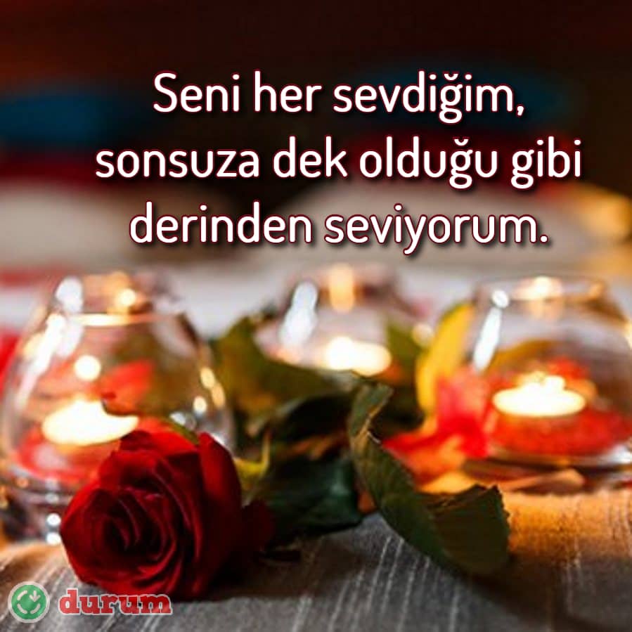 14 Şubat çiçekler
