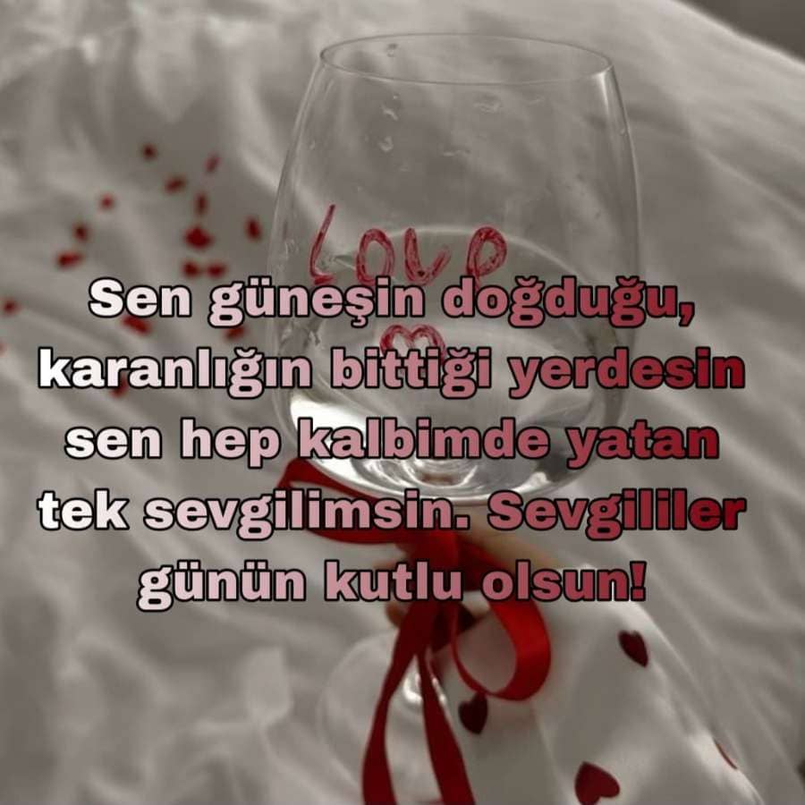 14 Şubat mesajlari