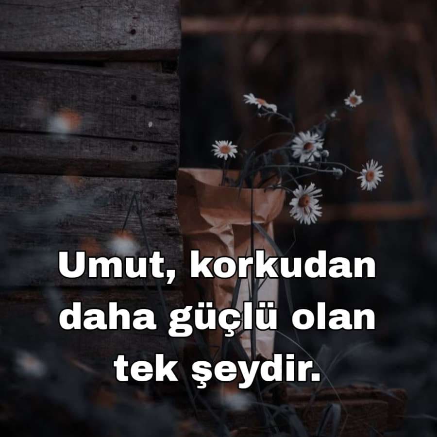 Hayat ile İlgili Müthiş Anlamlı Sözler
