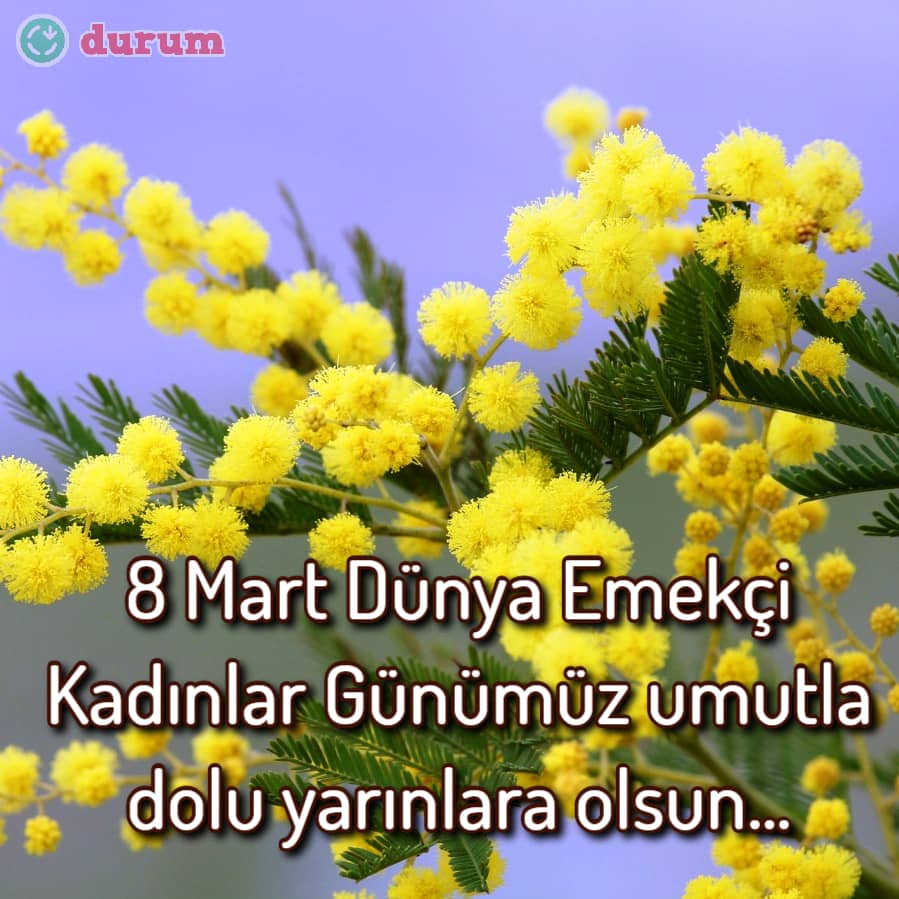 8 Mart mesajları