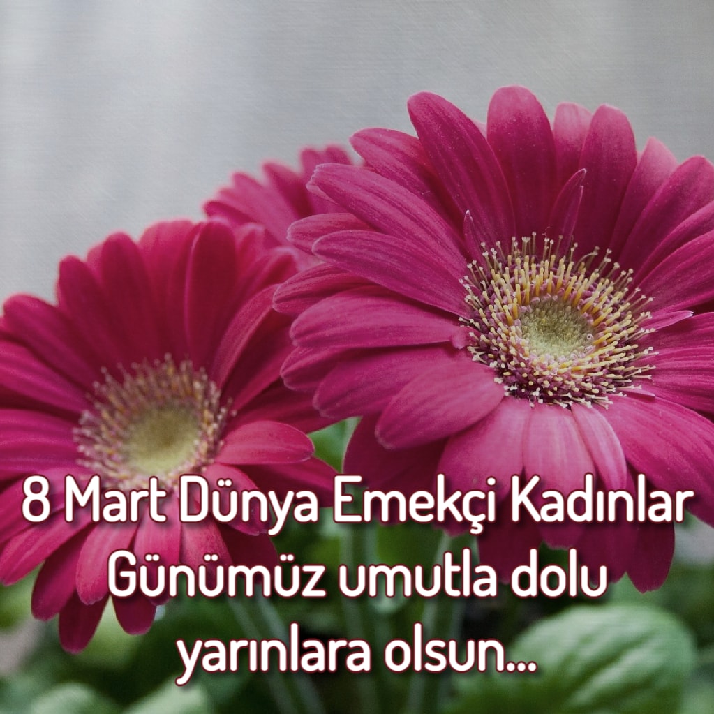 8 Mart Mesajları