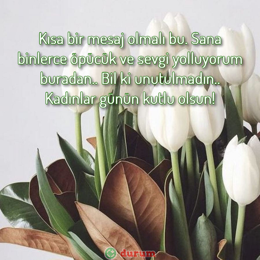 8 Mart Resimleri