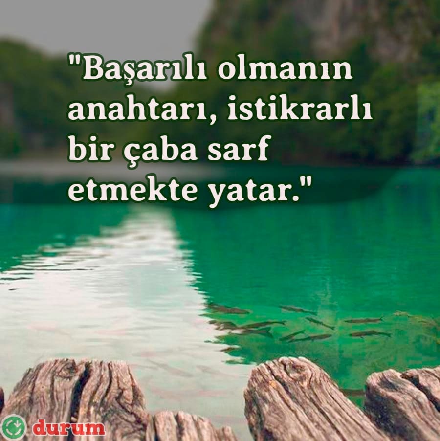 Acun Ilıcalı Sözleri indir