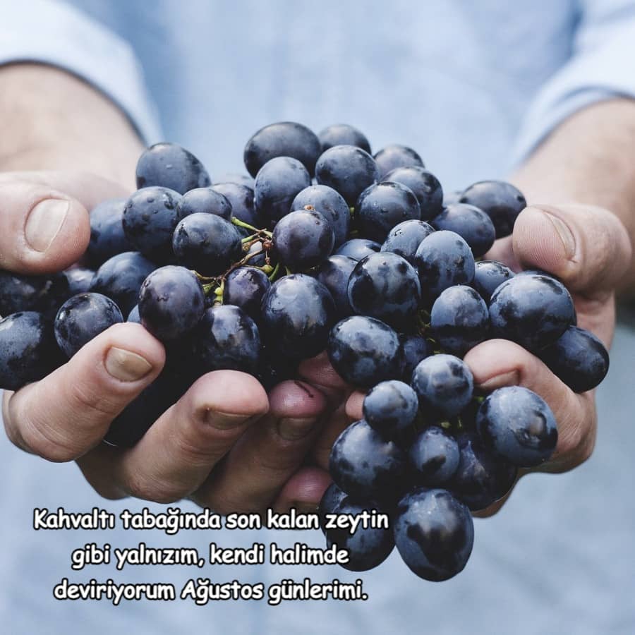 Ağustos Ayı İle İlgili Kısa Sözler