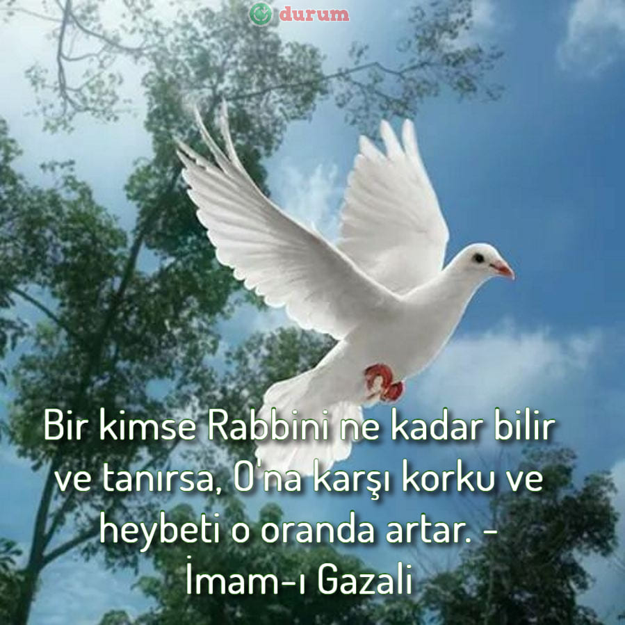 Allah Korkusu ile ilgili sözler kisa