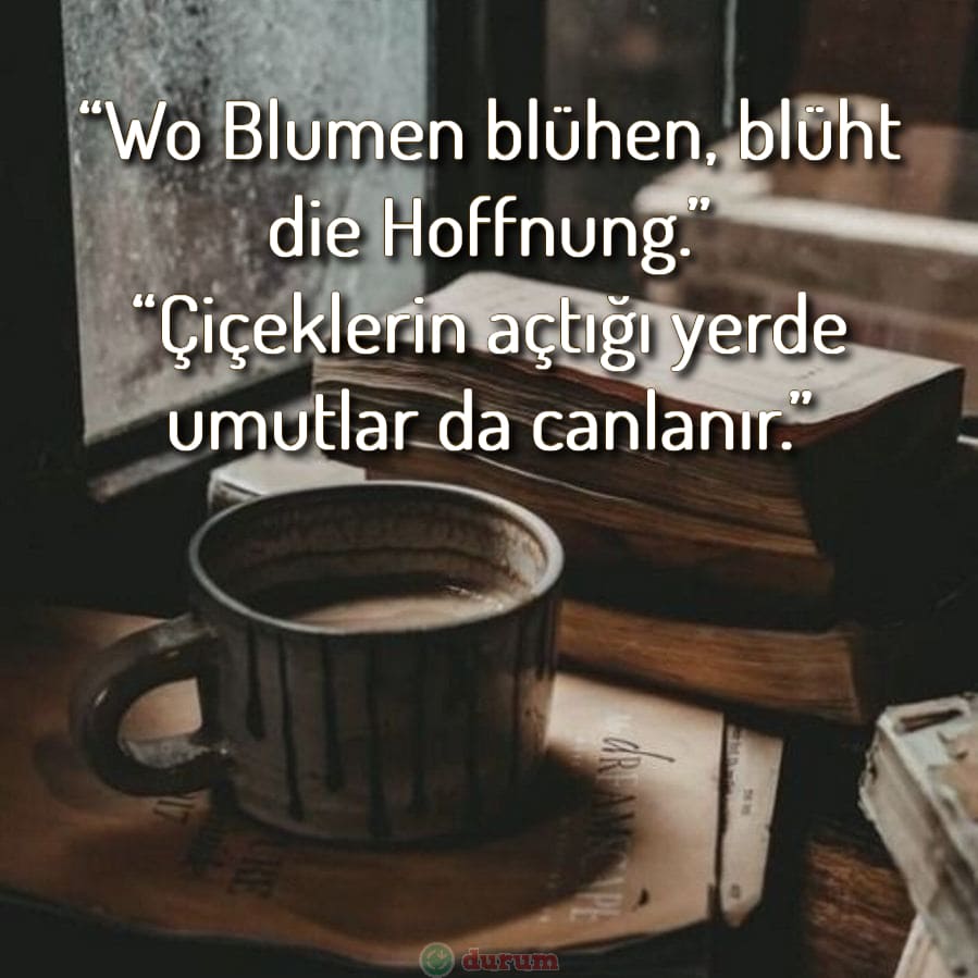 almanca duygusal sözler