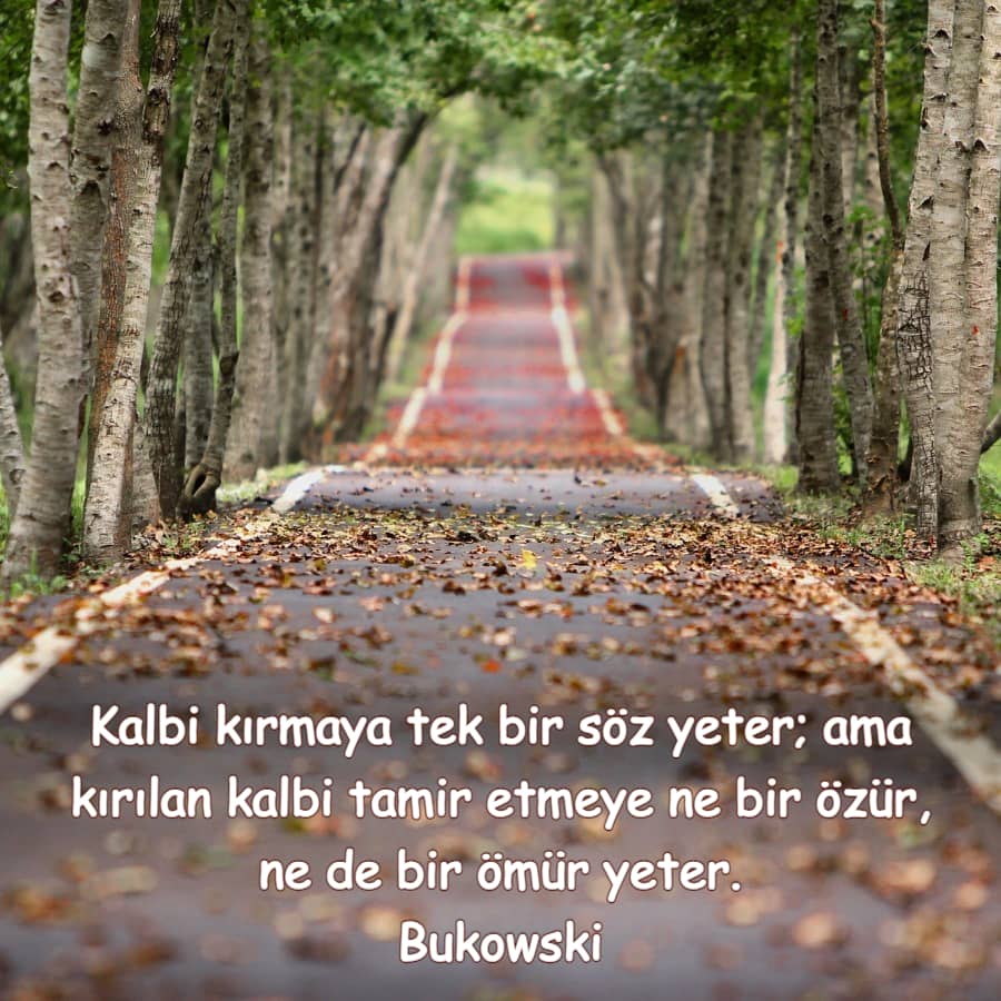 Anlamlı durum sözleri