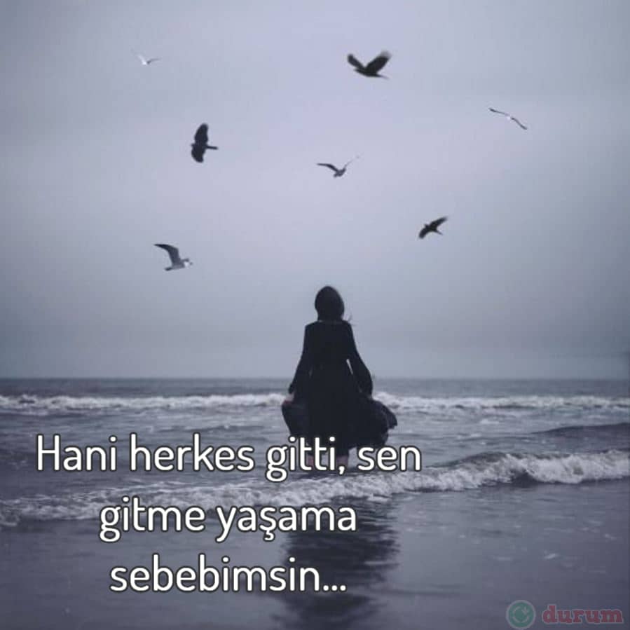 Anlamlı Duygusal Sözler