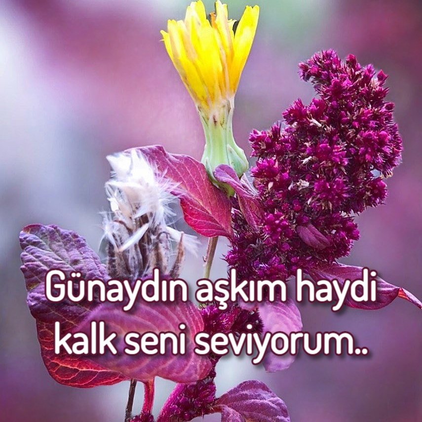 anlamlı Günaydın Mesajları