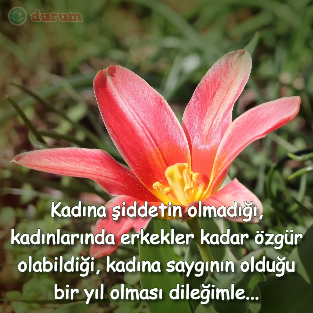 Anlamlı Kadınlar Günü Mesajları