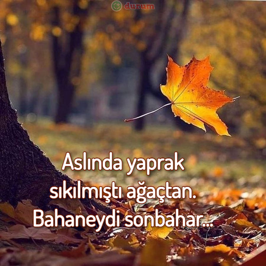 Anlamli Kasım Sözleri