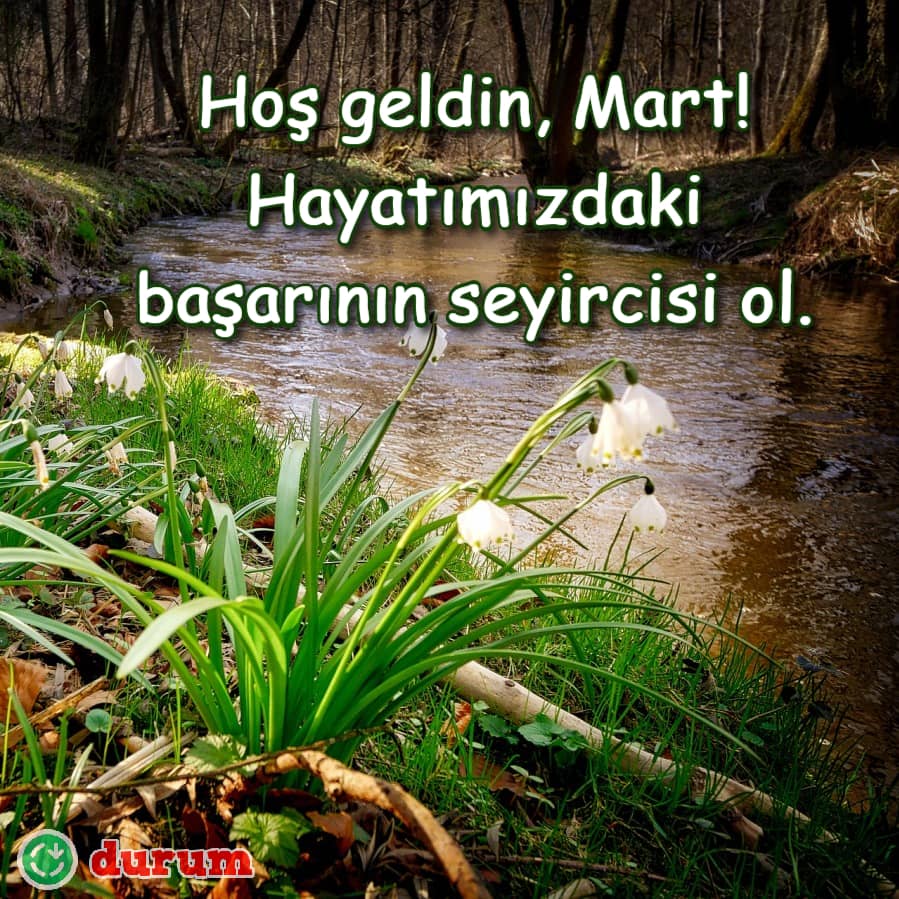 Anlamli Mart ile ilgili Sözler