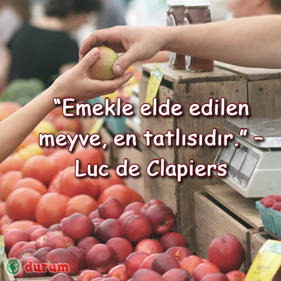 Anlamlı meyve ile ilgili sözler