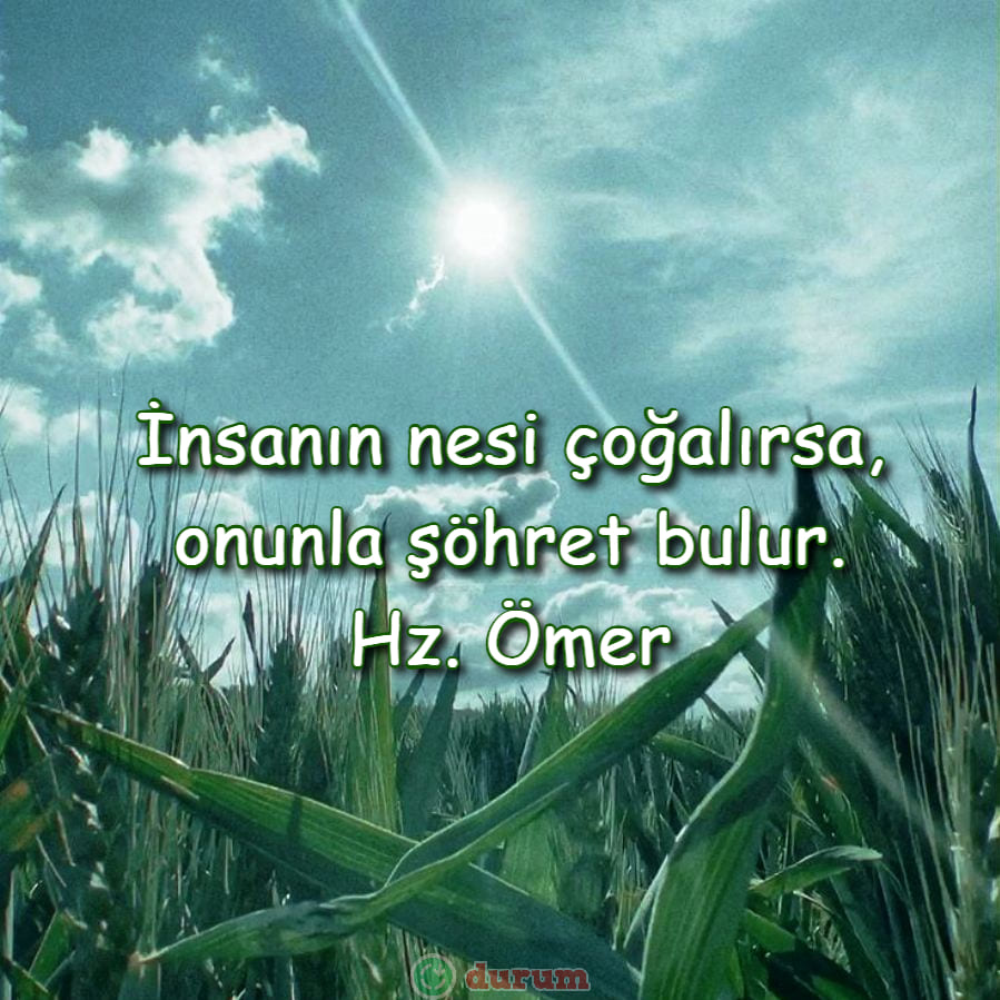 Anlamlı şöhret sözleri