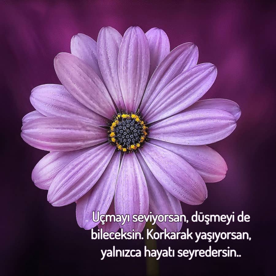 Anlamlı sözler özel sözler