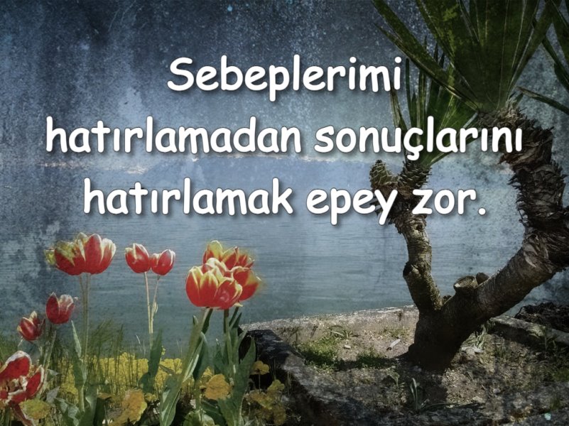 anlamlı yazılı resim