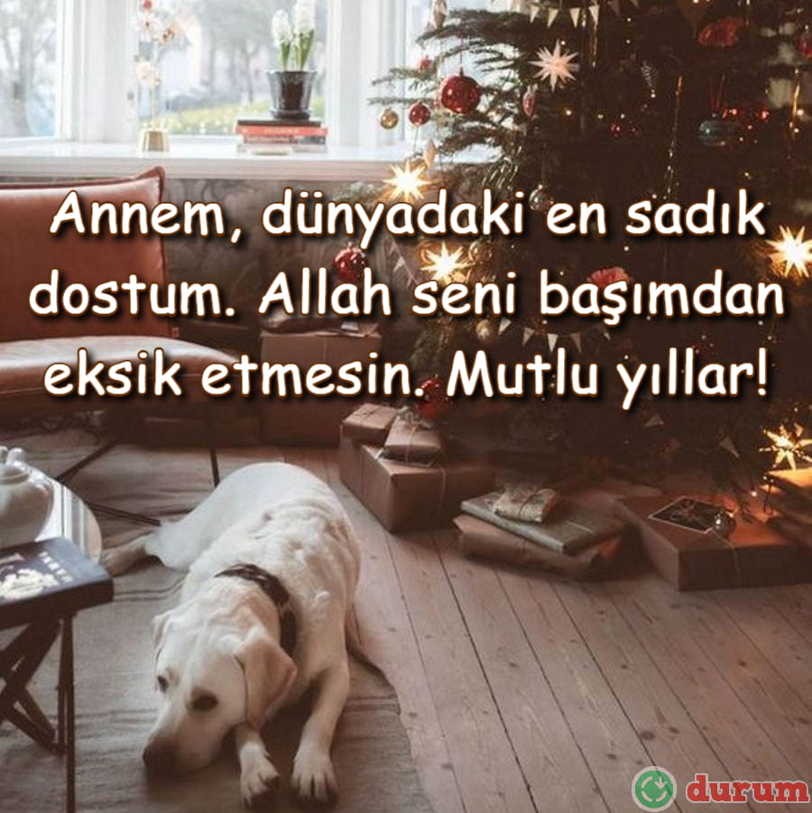 Anneye Yeni Yıl Mesajları Duygusal
