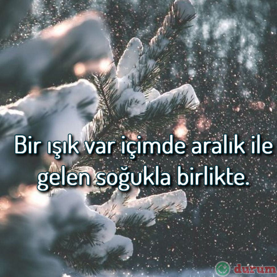 Aralık Ayı İle ilgili Sözler