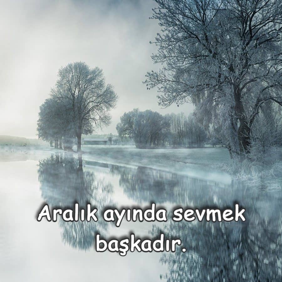 Aralık Ayı