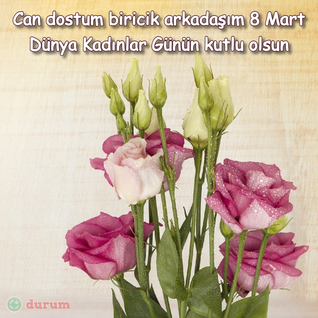 arkadaşa 8 mart mesajı