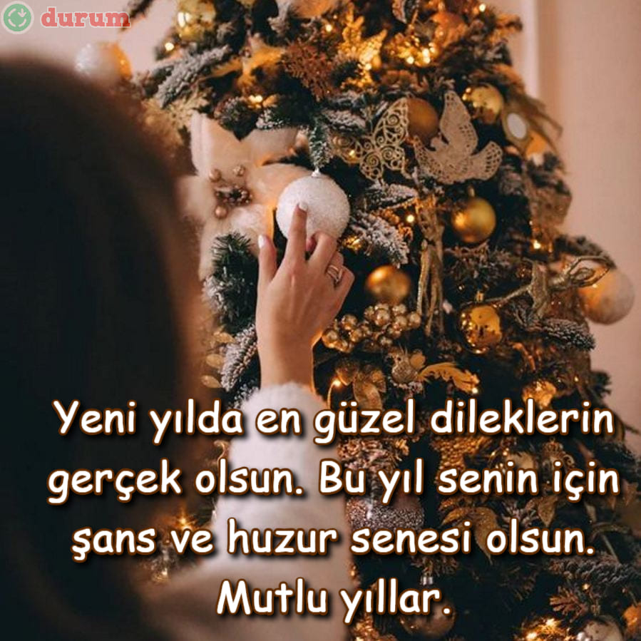 Arkadaşa Anlamli Yeni Yıl Mesajları