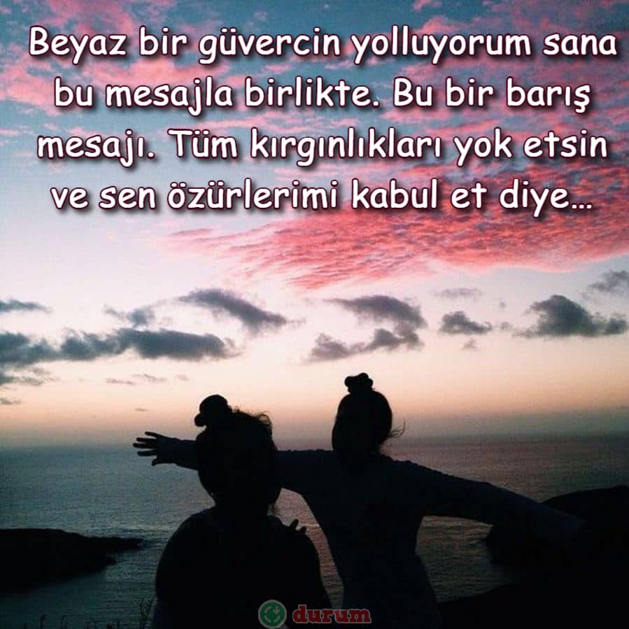 Arkadaşa Özür Mesajları indir