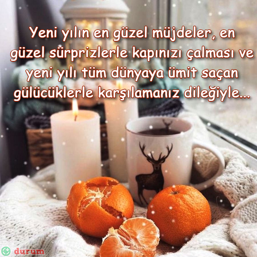 Arkadaşa Yeni Yıl Mesajları Guzel