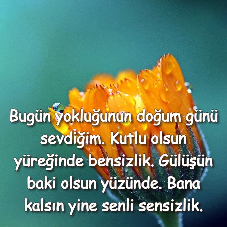 Aşk acısı doğum günü