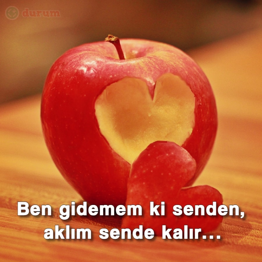 Aşk Şiiri