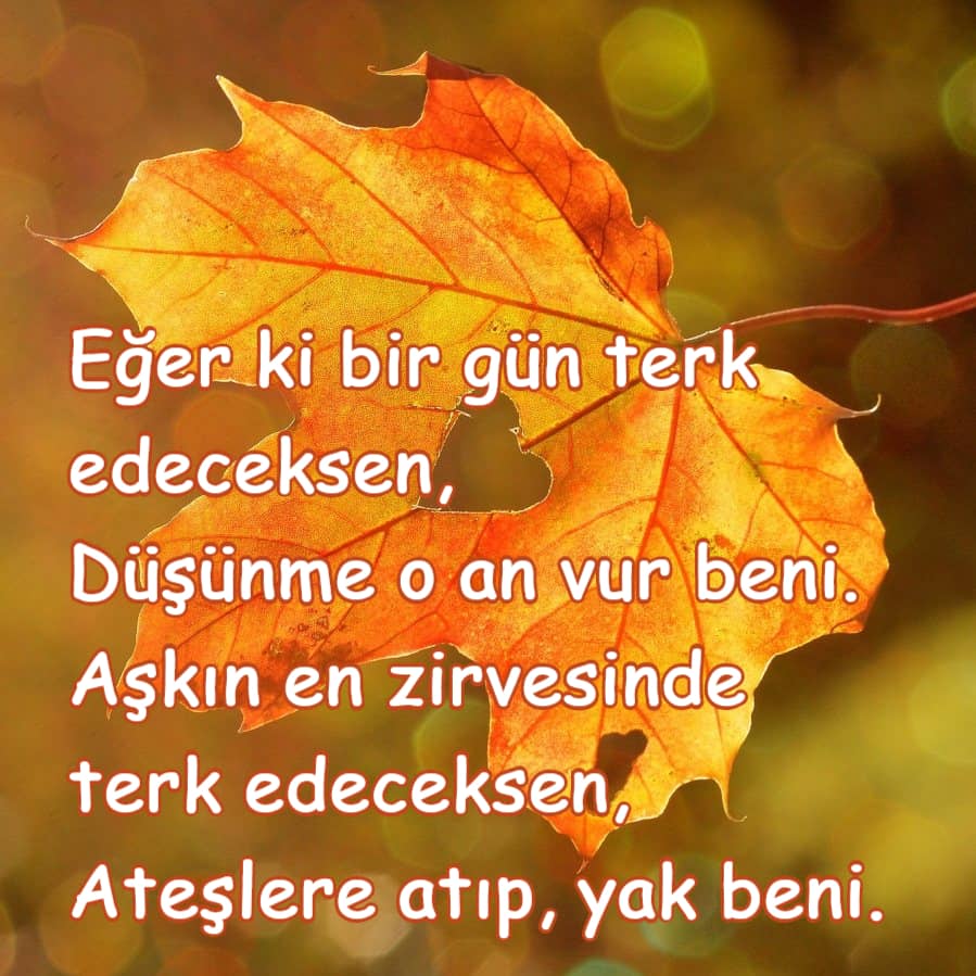Aşk Şiirleri resimli
