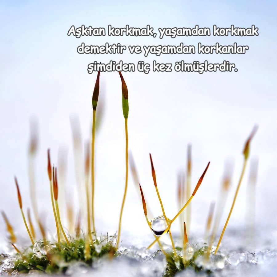 Aşkdan korkmak