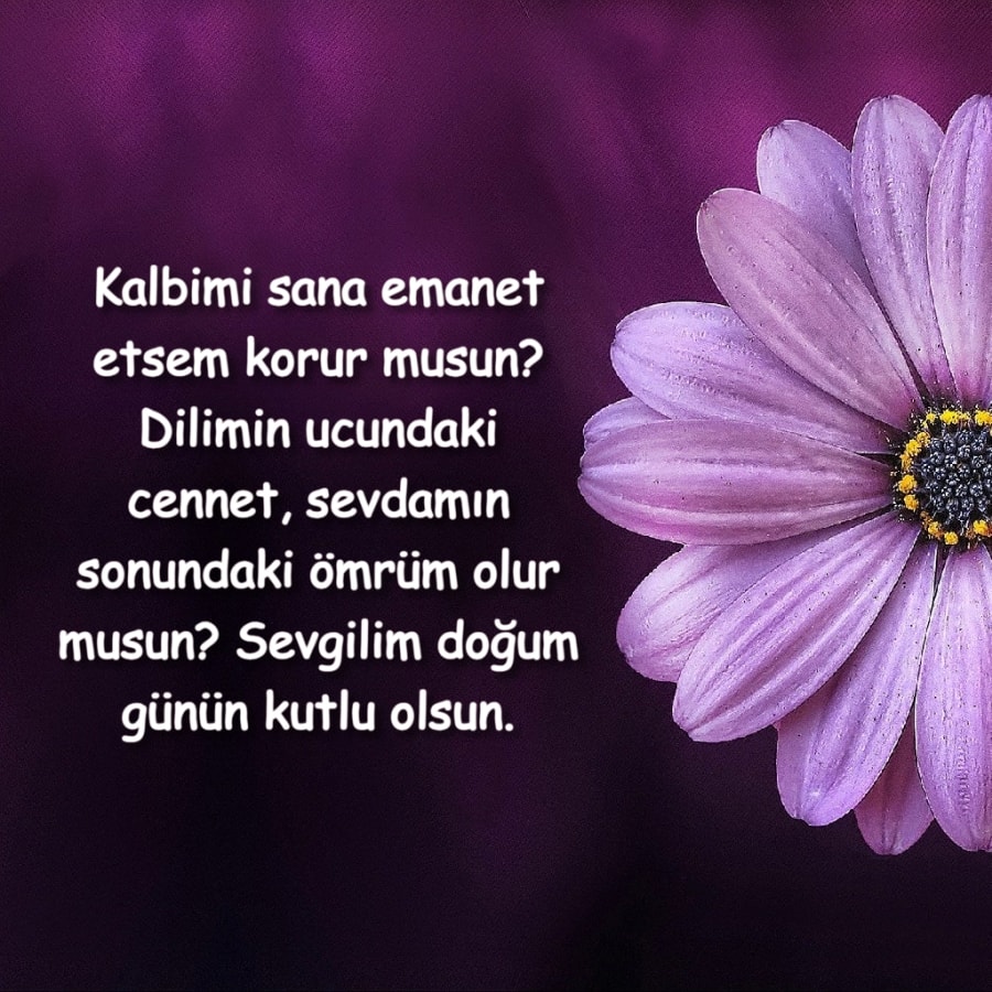 aşkıma doğum günü tebriki