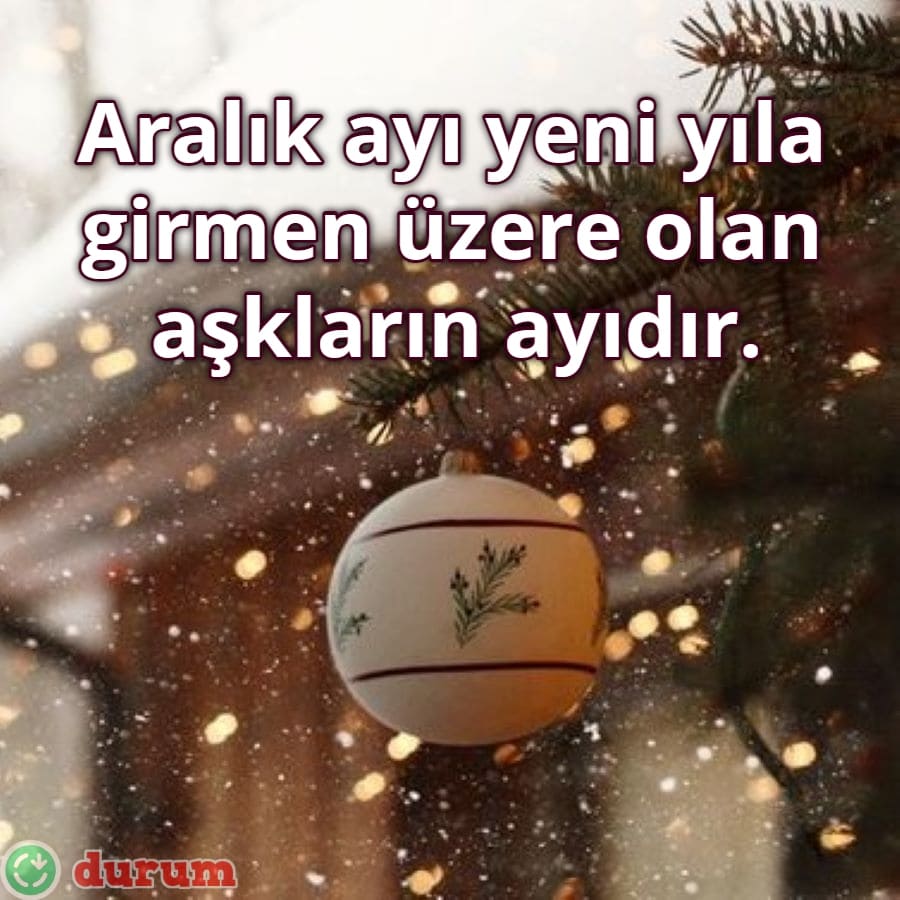 Ayı İle ilgili Sözler