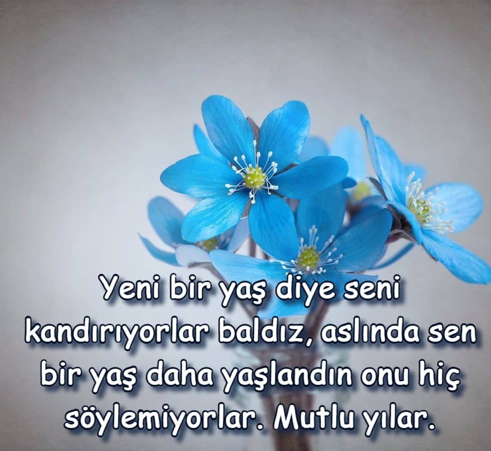Baldıza Doğum Günü Mesajları