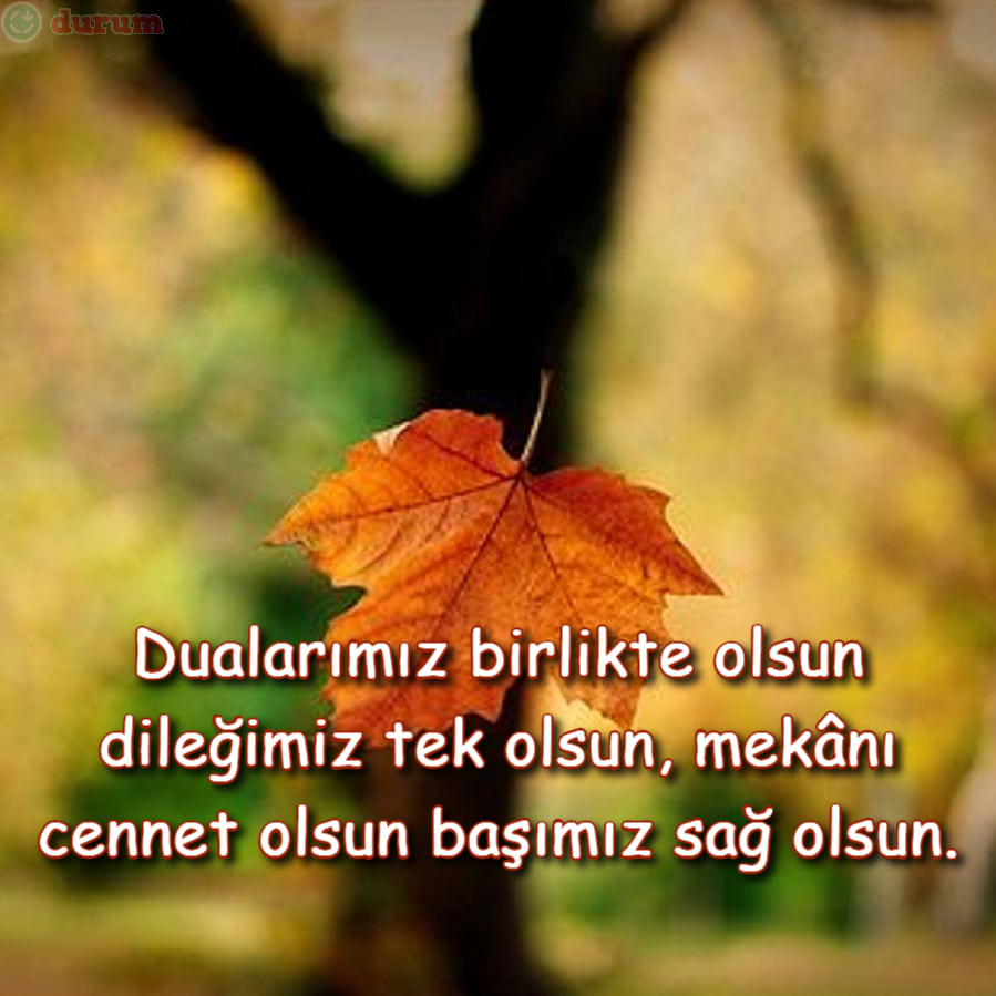 Başsağlığı sözleri indir