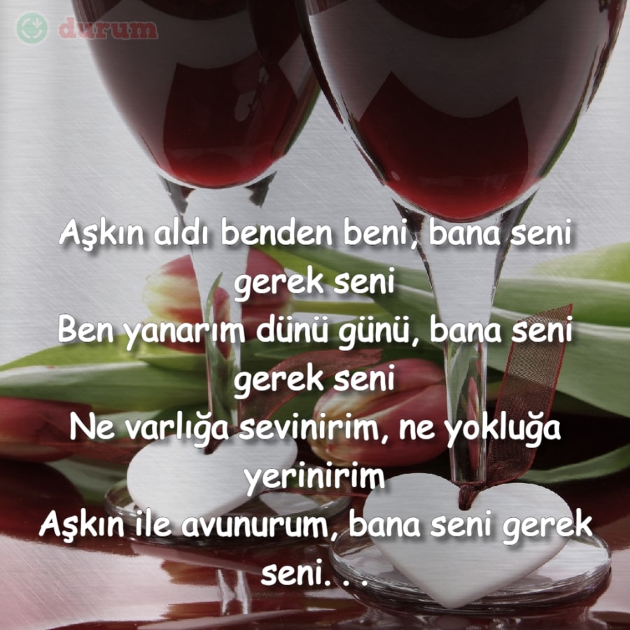 Ben Sana Mecburum
